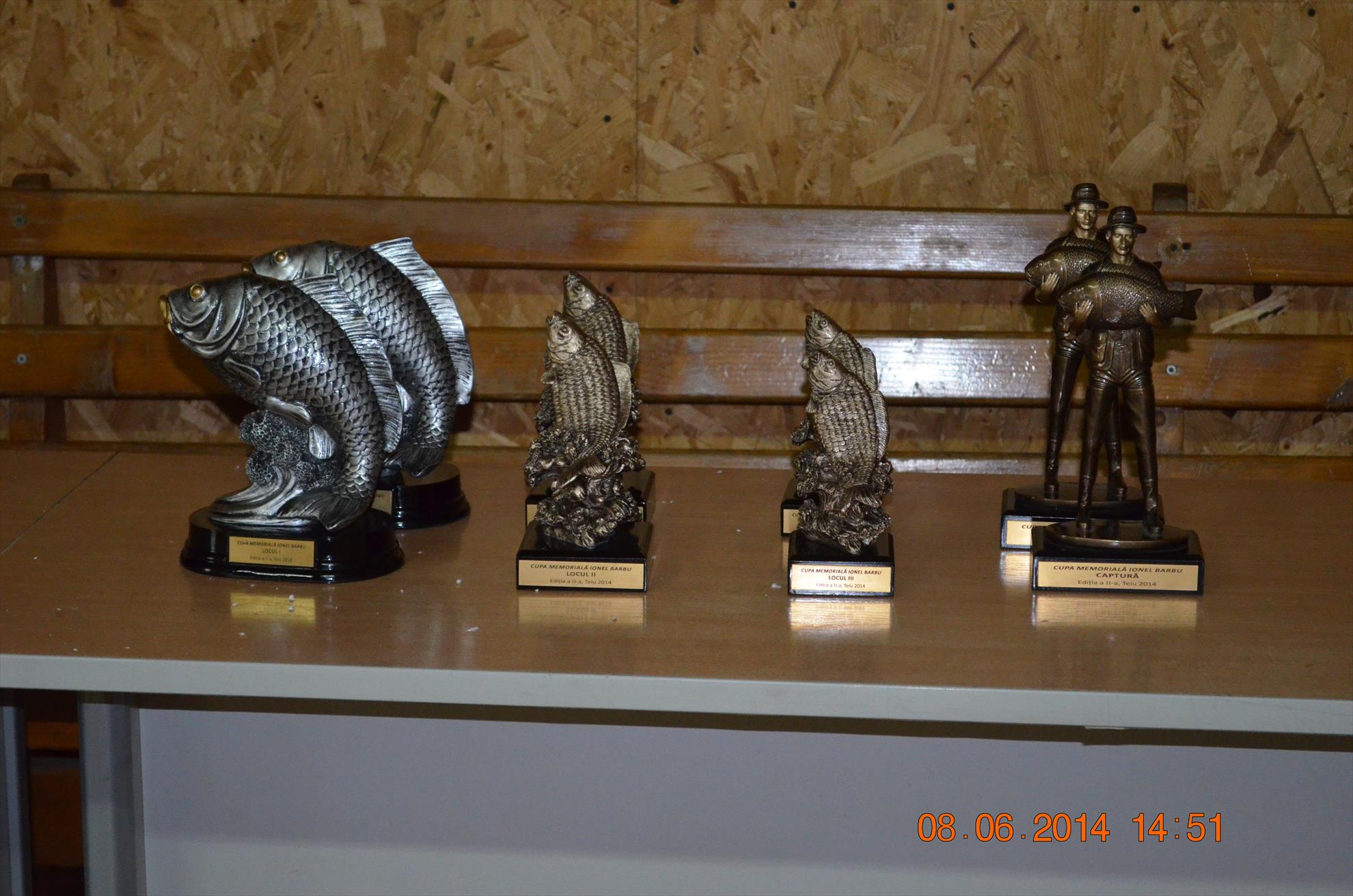 Cupa memoriala Ionel Barbu, 7-8 iunie Lacul Teiu - 3.JPG